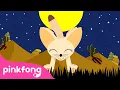 Rubah Fennec, terkecil sedunia | Lagu Binatang | Kartun \u0026 Lagu Anak | Pinkfong dan Baby Shark