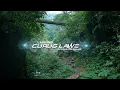Hiking ke Curug Lawe Ungaran Semarang Jawa Tengah | Pesona Air Terjun Curug Lawe # dondongAdventure