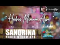 Download Lagu KARAOKE HABIS MINUM APA -SANDRINA