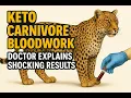 Download Lagu KETO CARNIVORE BLOODWORK: Doctor Explains Shocking Results