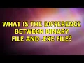 Unix Linux What is the difference between binary file and exe file 3 Solutions