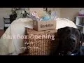 BarkBox Opening April s Large Dog Box