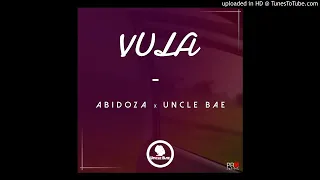 abidoza x uncle bae vula