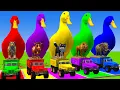 Download Lagu Long Slide Game With Cow Elephant Gorilla Hippopotamus Tiger 3d Animal Game Funny 3d Animals
