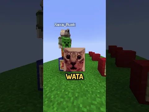 no aguantó mucho #minecraft #shorts