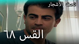 68 سنوات الضياع 