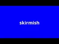 what is the meaning of skirmish