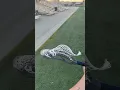 maverik optik 3 stringing