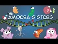 DNA, Chromosomes, Genes, and Traits: An Intro to Heredity