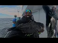 MASSIVE Virginia Beach Sea Bass onslaught Triggerfish on the Rudee Tours fishing charter 4K
