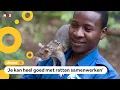 Download Lagu In dit land zijn ratten helden