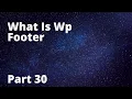 What is Wp Footer Wordpress Theme Development Part 30 Tech Tian