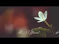 Alef  - Sol