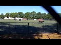 Loose Cow Being Chased in the Streets of Brooklyn