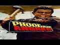 Download Lagu Phool Aur Angaar Movie। Facts in Hindi। इस फिल्म का ऑफर किस हीरो को हुआ था। 