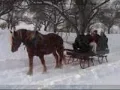 amy grant sleigh ride & walking in a winter wounderland.wmv