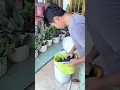 Download Lagu Suami jadi mandiri bisa cuci baju sendiri karena pakai @klar.detergent ✨🤍