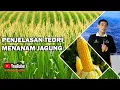 Lagu TEORI MENANAM JAGUNG #bayudiningrat #bayusehatmandiri #pelatihanbsm A4