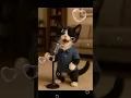 Download Lagu Kucing imut bernyanyi #kucing #kucinglucu #kucingimut #kucingnyanyi