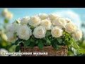 Download Lagu Прекрасная мелодия до слёз 🌿 Нежная музыка для души, жизни 🌿 Красивая музыка Сергей Грищук #2