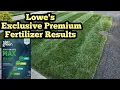 Lowe s Best Fertilizer Sta Green Performance Max Fertilizer With Humic Acid And Sea kelp Results
