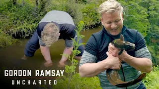 Download Gordon Ramsay Learns The Traditional Maori Way Of Catching Eels | Gordon Ramsay: Uncharted MP3