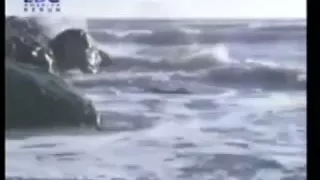                                 محمد قويدر دندنها