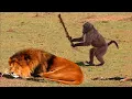 Mind Blowing Moments Caught on Camera