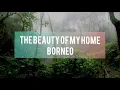 Download Lagu The beauty of Borneo
