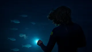 video_image