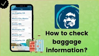 How to check baggage information in Alaska Airlines