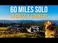Solo Overlanding 60 Miles in Grizzly Country w/ My Golden Retriever