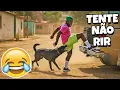 Download Lagu TENTE NÃO RIR: VÍDEOS ENGRAÇADOS 2025 E MEMES - #71