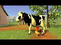 Bartolito - Kids Songs & Nursery Rhymes