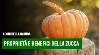 proprietà e benefici della zucca