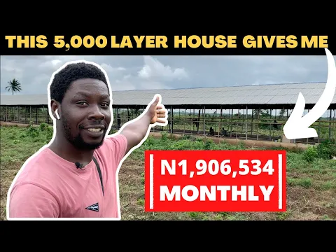 Download MP3 This 5000 Layer Chicken House Gives Me 1.9 Million Naira Monthly