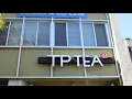 Boba Review San Mateo s TP Tea