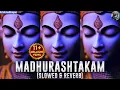 Lagu Adharam Madhuram ( Slow + Reverb ) | Krishna Bhajan | Bhaki Song | Madhurashtakam Song | Bhajan 🔥