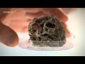Planet Ant - Life Inside The Colony