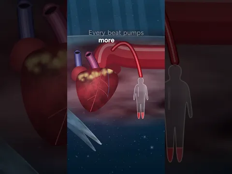 You Can Swim Through A Whale’s Veins 🐋