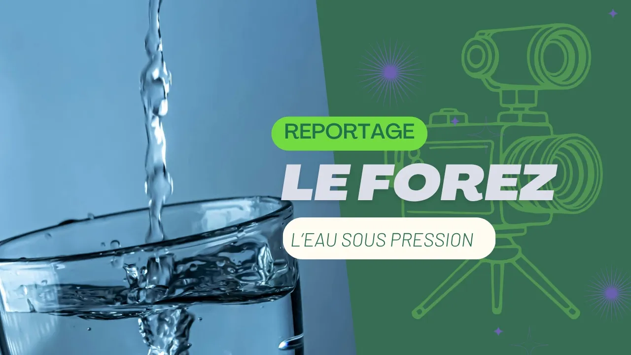 ⁣Sécheresse dans le Forez : l’eau potable sous haute surveillance