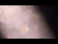 L E S A  -   لسة - Abyusif