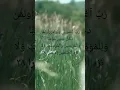 Download Lagu “Powerful Quran Du’a for Parents \u0026 Believers 🤲 | Surah Nuh 71:28”