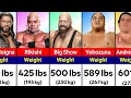 WWE Wrestlers Weightest Level of All-Time