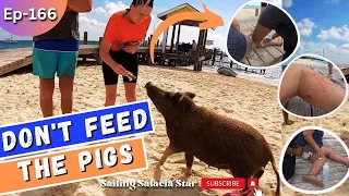 DON’T FEED THE PIGS || Episode 166 || Sailing Salacia Star || 2023