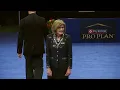 National Dog Show 2023: Best in Show (Full Judging) | NBC Sports