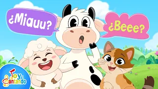 La Vaca Lola Se Equivoca | Aprende los sonidos de los animales | Canciones Infantiles | Toy Cantando