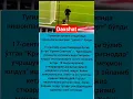 Download Lagu #remix #dj #song #love #memes #tezkunda #tiktok #rek #rekkkkkk
