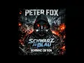 Schwarz zu Blau Schranz Remix - Peter Fox / Stotek
