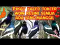 Download Lagu SUARA PIKAT KACER PALING AMPUH TERBAIK PANGGIL YANG JAUH AGAR DATANG